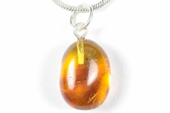Polished Baltic Amber Pendant (Necklace) - Contains Fly! #358008